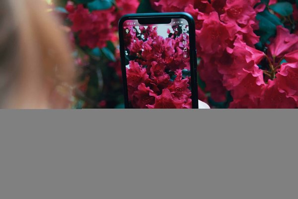 Quels formats de contenu éphémère sont les plus engageants sur Snapchat pour une marque de fast-food?